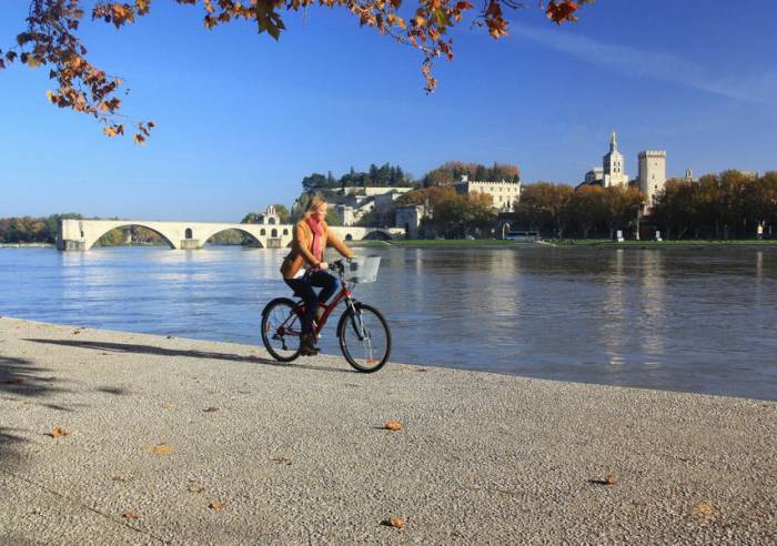 Avignon Bridge on the river Rhone