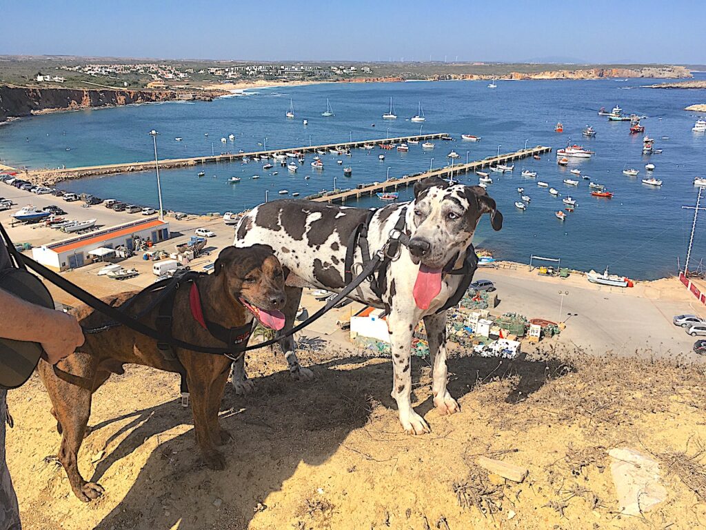 Sagres Fishing Harbour